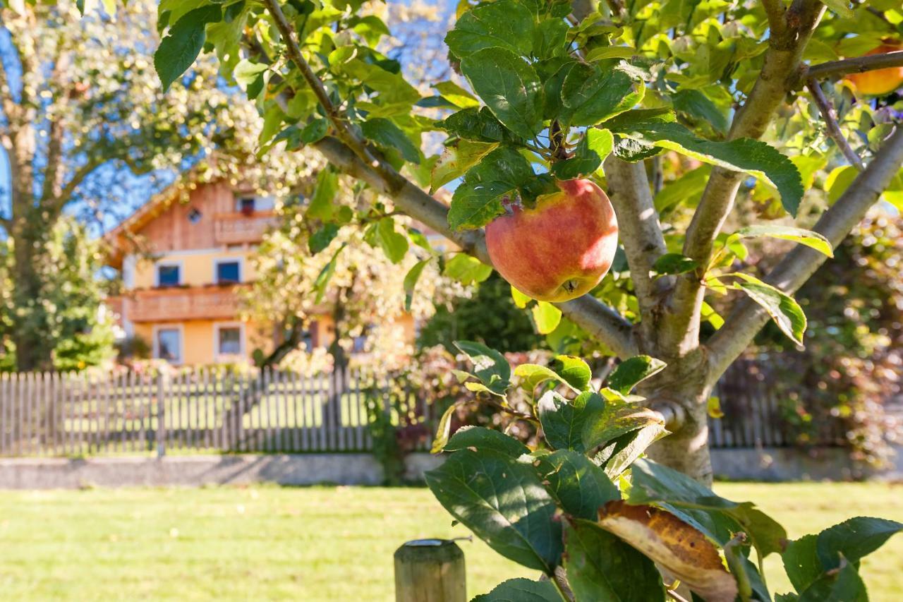 Girlinggut Schlafen Starten Salzburg Elixhausen Kültér fotó